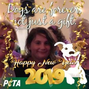 Meet your Posher, Pat dennis